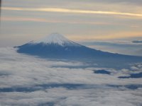 IMG 5119