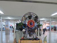 IMG 5130