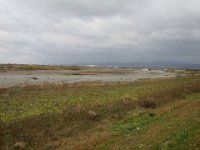 IMG 5173