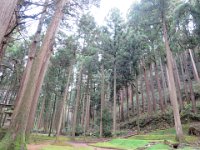 IMG 5252