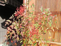 IMG 5352