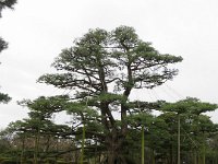 IMG 5374