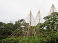 IMG 5385