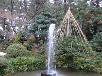 IMG 5394