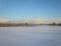IMG 5525