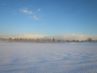 IMG 5527
