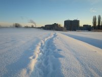 IMG 5529