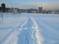 IMG 5542