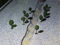 IMG 5682