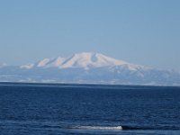 IMG 6657