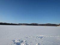 IMG 6690