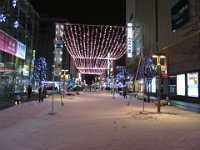 IMG 6741