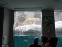 DSC00938