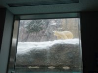 DSC00940