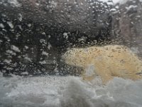 DSC00948