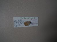 DSC00951