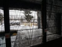 DSC00969