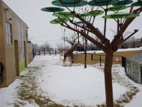 DSC00988