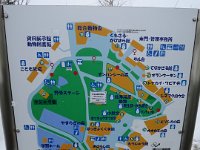 IMG 7223