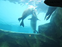 IMG 7225