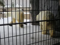 IMG 7240