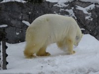 IMG 7245