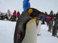 IMG 7257