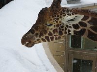 IMG 7271