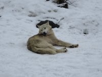 IMG 7290