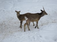 IMG 7291