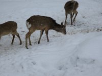 IMG 7292