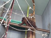 IMG 7296