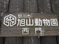 IMG 7297