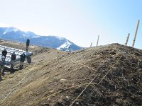 IMG 7414
