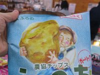 IMG 7437