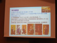 IMG 7601