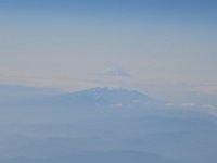 IMG 8296