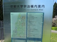 IMG 8319