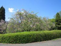 IMG 8321