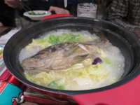 IMG 8397