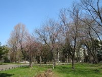 IMG 8469