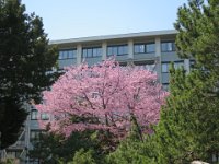 IMG 8471
