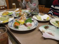 IMG 8539
