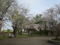IMG 8541