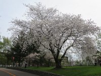 IMG 8543