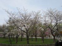 IMG 8545