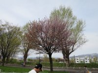 IMG 8551