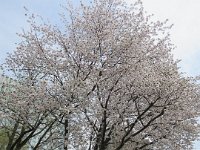 IMG 8558