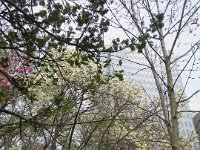 IMG 8572