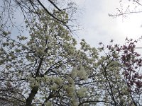 IMG 8573